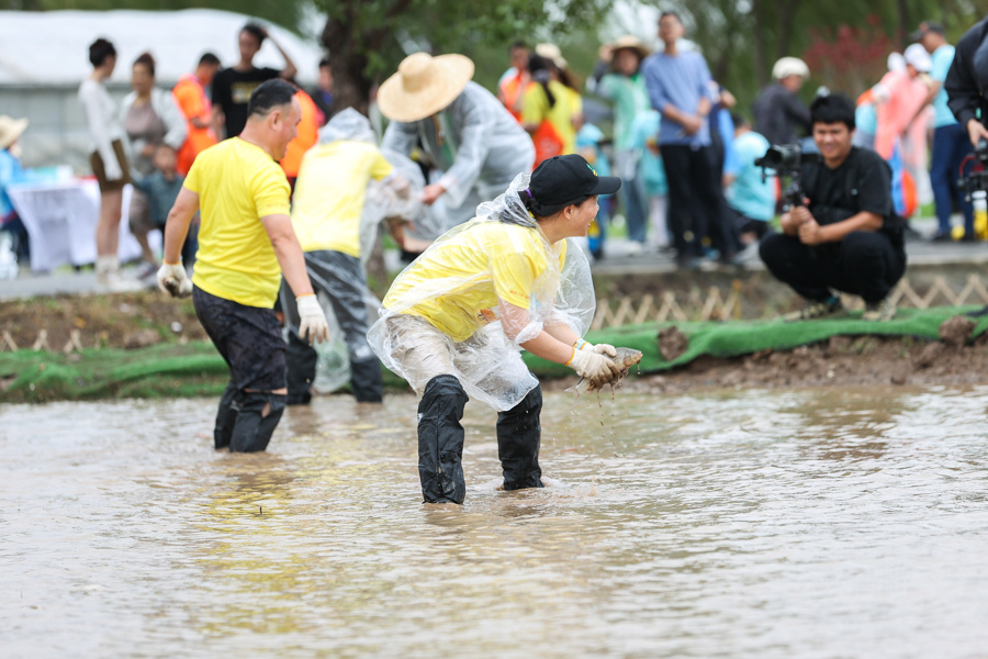 Opv, 了这条, 三灶村第一 Opv, 了这条, 三灶村第一